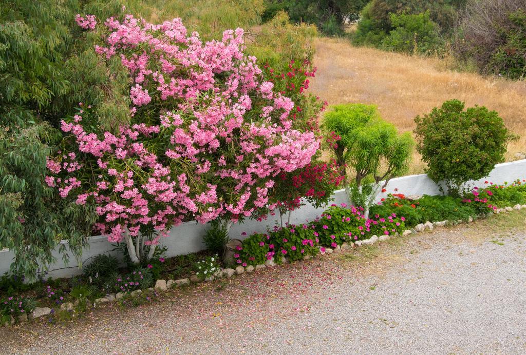 Appartement Rodia